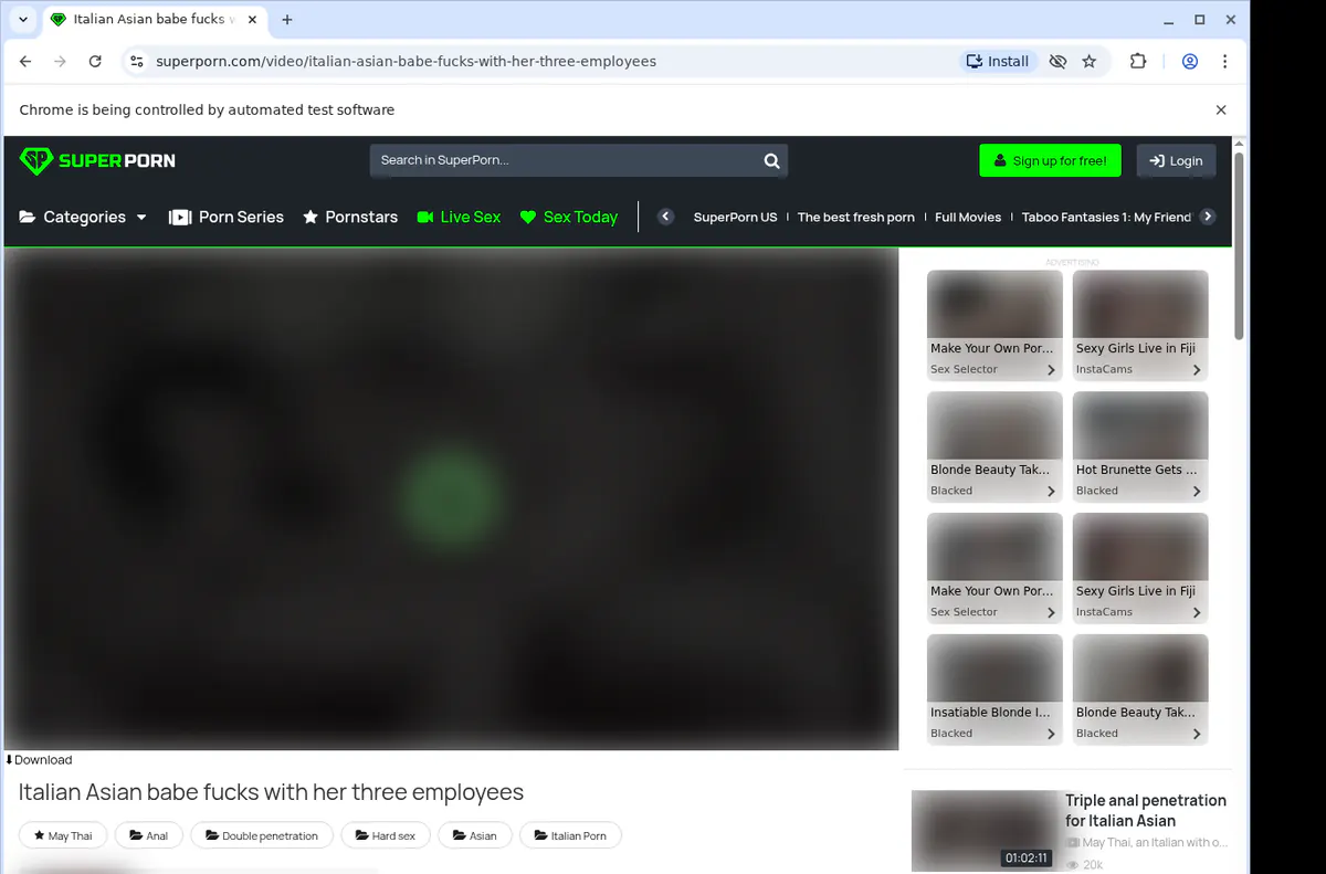Superporn Video Downloader browser extension screenshot 2