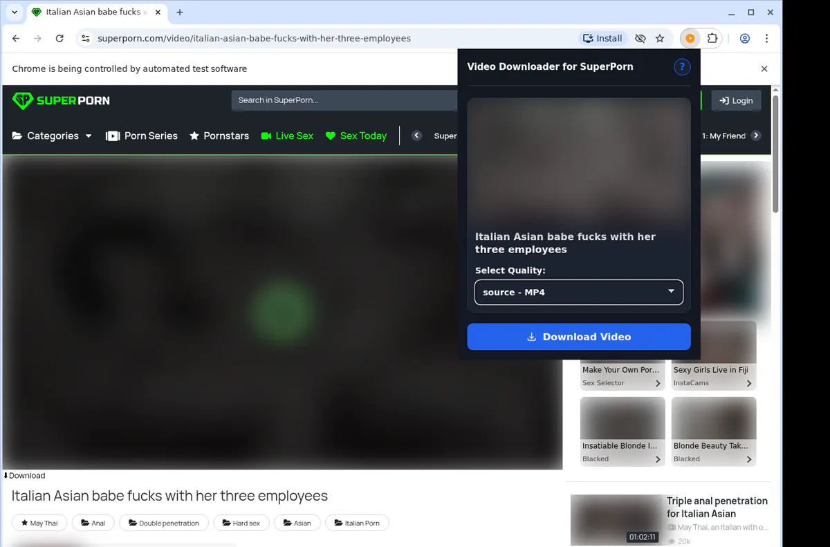 Superporn Video Downloader browser extension screenshot 3