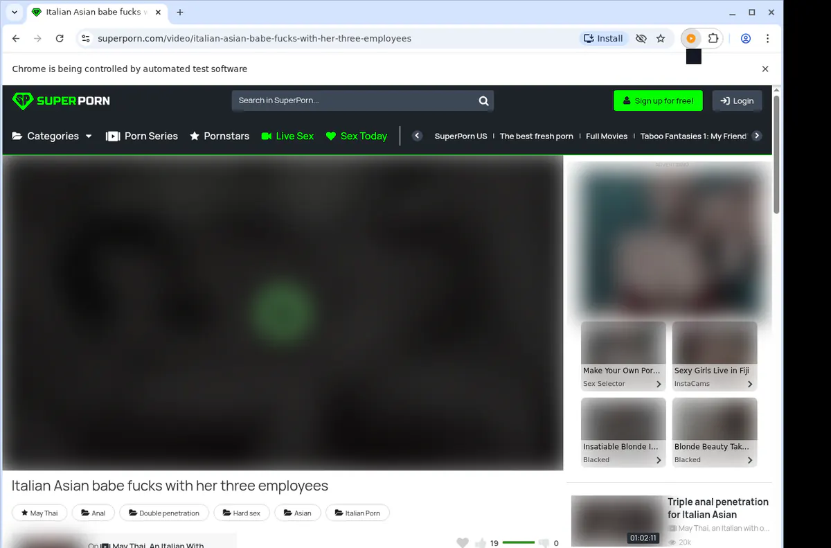Superporn Video Downloader browser extension screenshot 5